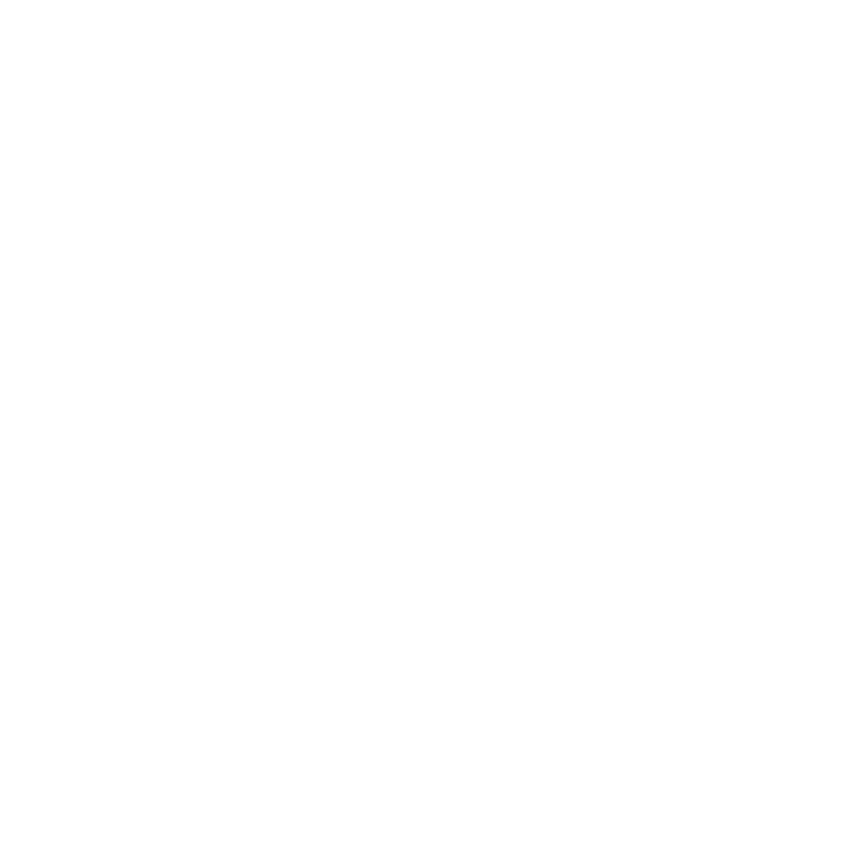 Culture led Strategy icon